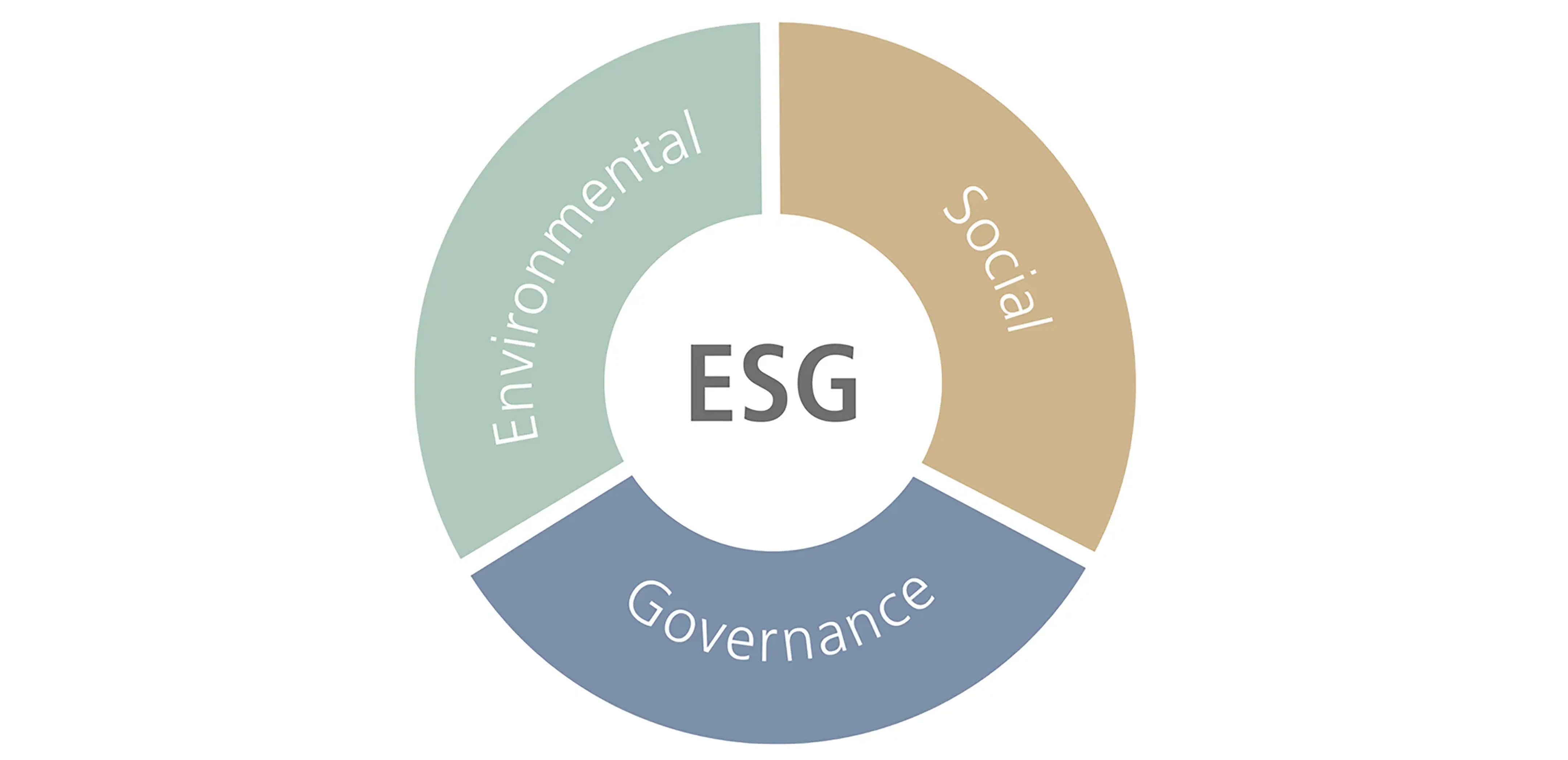 Bildicon ESG: Environmental, Social, Governance